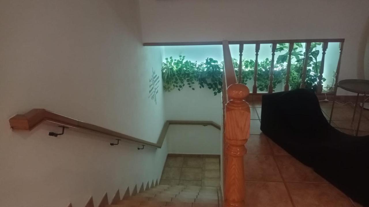 A Morada De Julia, Acogedor Apartamento En El Balcon Del Valle Minor Понтеведра Екстер'єр фото